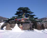 牡丹江天气预报7天