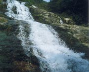 长泰后天天气