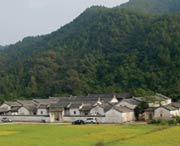 大埔明天天气